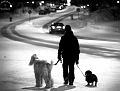 Kiruna snowfestival 2008